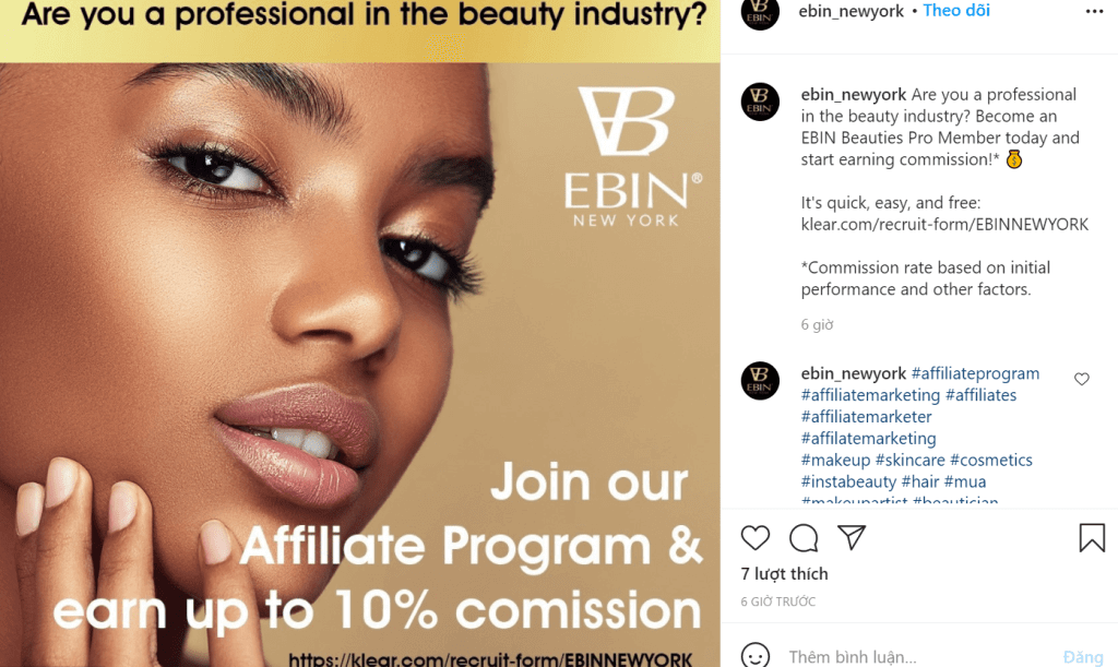 Ebin affiliate-program-Instagram