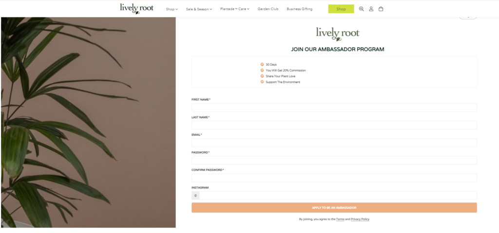 Optimize affiliate landing page